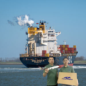 Top 10 des transitaires maritimes, transitaire <span class=keywords><strong>de</strong></span> Zhongshan vers le Royaume-Uni, les États-Unis, l'Allemagne, DDP, LCL, services photographiques - Product Image 6