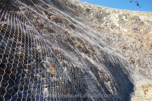 Hot Selling <strong>High</strong>-quality Mountain protection <strong>Net</strong> Anti Rockfall Metal Barrier <strong>Net</strong> Active Slope protection Safety <strong>Net</strong> - Product Image 4