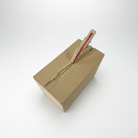 Boîte d'expédition zippée écologique réutilisable de qualité supérieure, en stock, sans ruban adhésif, carton facile à déchirer, emballage cadeau pour boîte mystère (personnalisable)