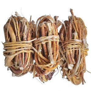 Extracto de Radix <span class=keywords><strong>Fici</strong></span> Simplicissimae en Polvo, Concentrado Soluble Orgánico Natural de Alta Calidad, Wuzhimaotao, Grado Alimenticio - Product Image 3