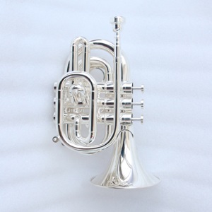 <span class=keywords><strong>Trompeta</strong></span> <span class=keywords><strong>de</strong></span> Bolsillo <span class=keywords><strong>Profesional</strong></span> FPT-300S, Plateada, Tono Bb, Válvulas <span class=keywords><strong>de</strong></span> Monel, Cuerpo <span class=keywords><strong>de</strong></span> Latón, Boquilla 7C, Estuche <span class=keywords><strong>de</strong></span> Plástico <span class=keywords><strong>de</strong></span> Alta Calidad, OEM - Product Image 3