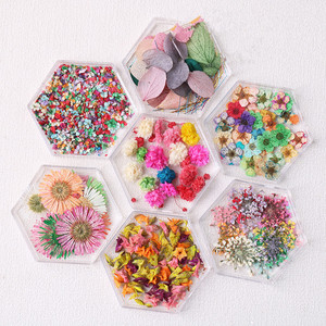 Pegatinas de Flores Secas de Colores Mezclados, Adornos para Manicura, Pétalos Coloridos, Decoraciones 3D para Uñas - Product Image 1