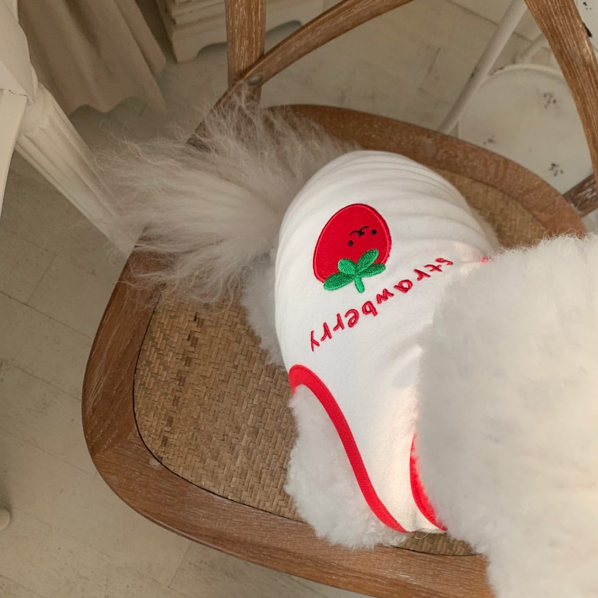 Fragola rossa