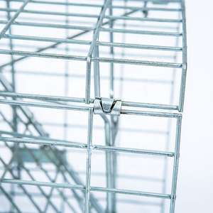 Métal sans cruauté grand vivant sauvage coyote <span class=keywords><strong>écureuil</strong></span> lapin raton laveur chien Cage piège <span class=keywords><strong>renard</strong></span> Animal piège chat sauvage piège Cages à vendre - Product Image 2