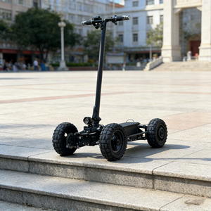 Scooter Eléctrico de 11 Pulgadas en Oferta, Alta Potencia, 2WD/4WD, Suspensión Flexible, Todoterreno, Motor Potente, Rendimiento Suave - Product Image 5
