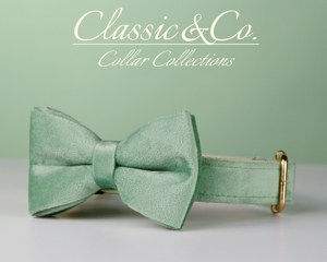 Sagegreen Veet personnaliser collier de chien laisse ensemble fleur arc pour petit moyen grand animal de compagnie, plaque de nom silencieuse gravée, chiot de mariage - Product Image 4