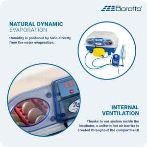 Borotto ศูนย์บ่มเพาะไข่จริง24ชิ้น/96ชิ้นเครื่องฟักไข่อัตโนมัติขนาดกลางทำจากอิตาลี - Product Image 5