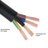 Maßgefertigtes RVV Flexibles Flammhemmendes Ingenieur-Team Mehradriges OFC-Kupfer 300/500V Hauskabel für Gewerbeimmobilien