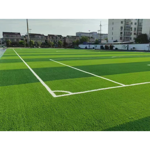 Đào tạo gói sân bóng đá, cỏ Chất lượng cao + Dòng đánh dấu + Tủ lưu trữ - Product Image 6