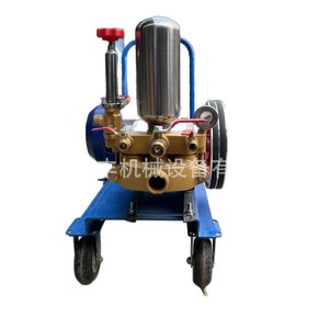 Hidrolavadora de Alta Presión de 3 Hp, 3000-5000 W, Eléctrica, de Agua Fría, con Presión Ajustable, para Granjas y Refugios de Animales - Product Image 1