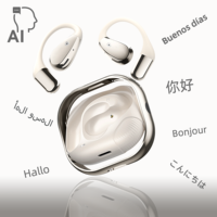Écouteurs de traduction AI Pro, traduction en temps réel, BT 5.3, écouteurs à crochet d'oreille, affichage numérique, 144 langues, étanches IPX4