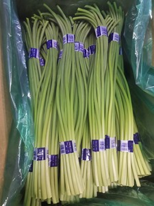 <span class=keywords><strong>Tige</strong></span> de pousse d'<span class=keywords><strong>ail</strong></span> vert de haute qualité nouvelle récolte de pousses d'<span class=keywords><strong>ail</strong></span> frais - Product Image 2