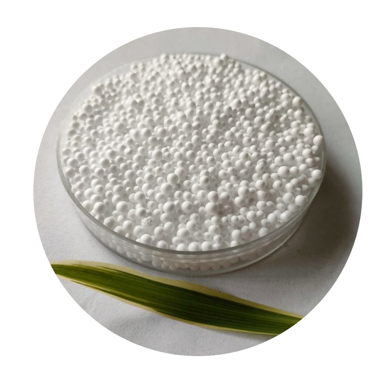 Пена общего назначения, формовочный упаковочный материал, натуральный белый EPS, гранулы из смолы GN12