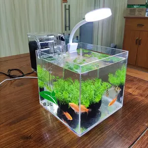 Thuis Transparant Acryl Garnaal, Schildpad, Goudvis, Mini Aquarium Tafelblad Aquarium Met Filtersysteem En Licht