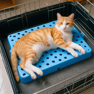 Toka bağlantı tasarımı ile küçük boyutlu plastik tepsi, ev kullanımı, depo ve süpermarket için uygun 300*300*50mm - Product Image 2