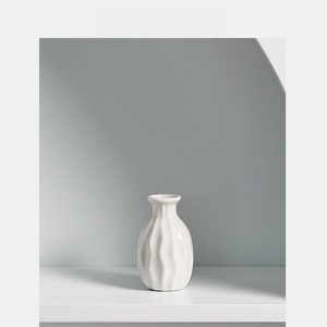 Porcellana Minimalista con Pigmenti <span class=keywords><strong>Colorati</strong></span> per Pittura e Disegno per Bambini, Vaso per Fiori Ecologico Fai-da-Te per Congratulazioni - Product Image 5
