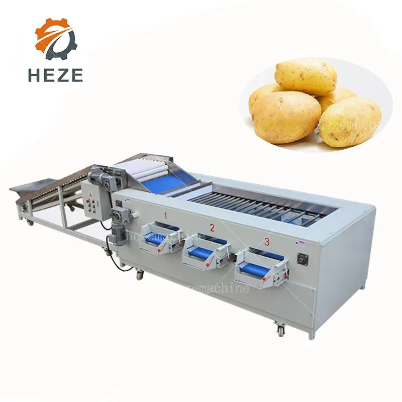 Automatische Süßkartoffel-Sortiermaschine Kartoffeln Größe oder Gewicht Grader Ausrüstung Gemüse Größe Maschinen Guter Preis zum Verkauf