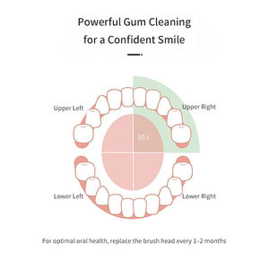 Cepillo de Dientes Vibratorio a Batería que Ayuda a Mejorar los Hábitos de Limpieza Bucal y la Rutina de Higiene Oral - Product Image 6
