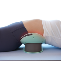 Masseur chauffant vibrant pour le bas du dos avec intensité réglable, fonction de massage lombaire et d'étirement dorsal