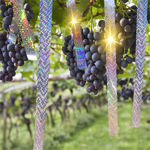 2.4CM * 100M Oiseau Dissuasif Clignotant Réfléchissant Effrayer Bande Oiseau Effrayer Bande Laser Ruban Oiseau <span class=keywords><strong>Répulsif</strong></span> - Product Image 6