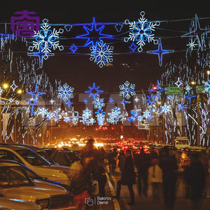 Customized Halloween And Christmas Led <b>Street</b> <b>Lights</b> Ip65 24v/110v/220v For Outdoor Holiday Decorations - Product Image 4