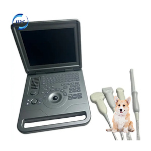 Appareil d'échographie numérique VET à écran LED de 12,1 pouces, <span class=keywords><strong>scanner</strong></span> portable BW avec sonde convexe linéaire - Product Image 4