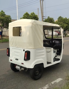 Triciclo Elettrico EEC con Tettuccio per Passeggeri, Tuk-Tuk per Brevi Distanze, Triciclo per Tour Turistici e Panoramiche - Product Image 3