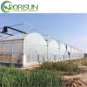 Película aislante tomates cherry tienda de sombra 2000 Sqm árbol vivero seta portátil coregated plástico invernadero - Product Image 3