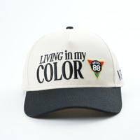 Gorra de Béisbol Oxford de Dos Tonos con Puntos, Logotipo Personalizado, Alta Calidad, 5 Paneles, Bordado 3D, Gorra de Golf Personalizada para Papá, Unisex