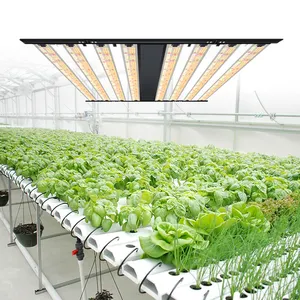 Vente en gros de haute qualité F3 800W 1000W équilibré PPFD uv ir contrôle séparé led croissance spectre complet pour la lumière de croissance des plantes d'intérieur