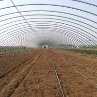 Serres agricoles et tunnels de culture en film plastique pour la culture de tomates à vendre