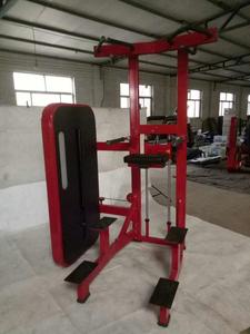 Equipo de <span class=keywords><strong>Gimnasio</strong></span> Comercial, Equipo de <span class=keywords><strong>Gimnasio</strong></span> <span class=keywords><strong>Cybex</strong></span> <span class=keywords><strong>para</strong></span> Ejercicios de DIP/CHIN ASSIST - Product Image 2