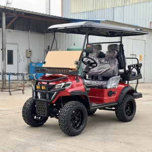 2025 EV <span class=keywords><strong>Golf</strong></span> Cart personalizzato 72 Volt 4 posti Mini sollevato fuori strada Scooter via legale per la vendita - Product Image 5