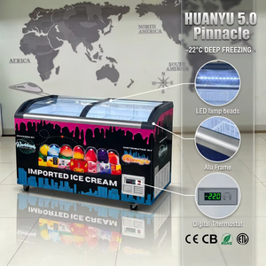 Vetrina Congelatore Commerciale per Gelato con Porta Scorrevole in Vetro, Illuminazione Interna a LED e Prestazioni di Congelamento Profondo - Product Image 1