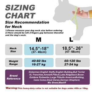 Quick Release Nylon Rope Dog Leash Pet Collars & Leashes Print Customized Color Durable Tactical Dog Collar With Handle Nylon - Product Image 2