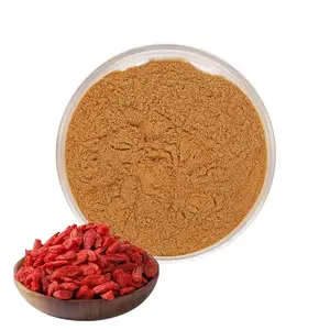 Wolfberry chinois en gros pur extrait de Wolfberry 10%-50% polysaccharides poudre de baie de Goji extrait naturel de Lycium Barbarum