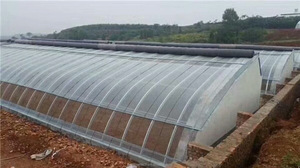 El túnel solar más barato Invernadero agrícola Fábrica de proveedores de China - Product Image 3