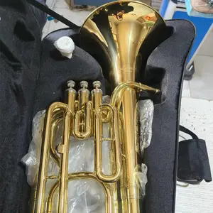 Goud Geschilderd Instrument Trompet Mondstuk Handschoenen Tas Band Set Bas Muziekinstrumenten Koper