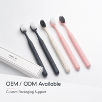 Kit dentaire pour hôtel avec brosse à dents jetable, dentifrice et emballage individuel hygiénique