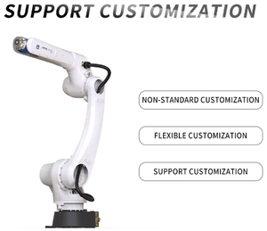 Bras robotisé d'assemblage TIANJI à faible coût, nouvelle arrivée, 6 axes, manipulateur industriel, charge utile de 25 kg, bras robotique industriel - Product Image 3