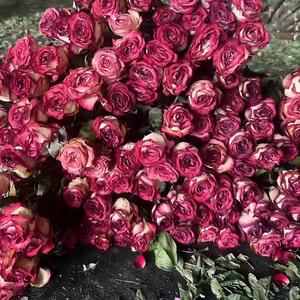 Flores de Rosa Secas Horneadas, Ramo de Rosas Reales para Decoración del Hogar, Centro de Mesa para Bodas, Regalo, Manualidades - Product Image 5