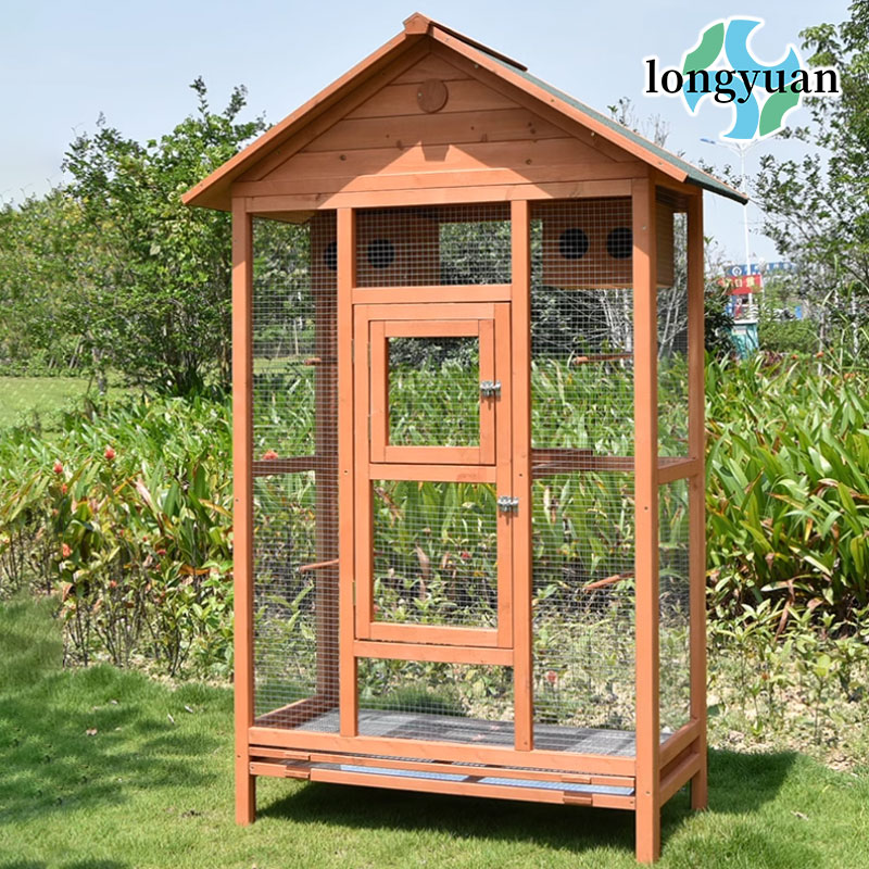 loft house for pigeons