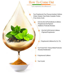 Bitkisel takviyesi yüksek potens <span class=keywords><strong>Moringa</strong></span> tohumu özü yasemin çay sağlık çay - Product Image 3