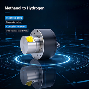 Pompe à engrenages magnétique de précision 24V DC, 3MPa, haute pression, moteur sans balais SS316L, 300mL/min, micro-pompe - Product Image 1