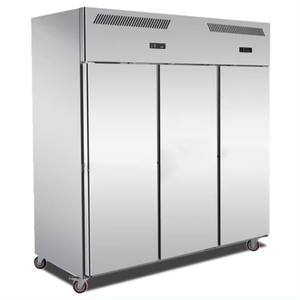 Commerciale 2 grandi porte in acciaio inox Freezer verticale frigorifero profondo per Home Restaurant e cucina per alberghi e <span class=keywords><strong>ristoranti</strong></span> - Product Image 4