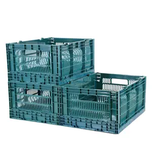 Nuovo arrivo abbigliamento contenitore di stoccaggio pollame scatole di trasporto organizzatore da tavolo in plastica cassa scatola di immagazzinaggio multifunzione e cestino