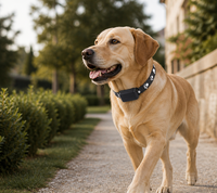 Collier de suivi GPS pour animaux de compagnie, localisation assistée par Beidou et Wifi, dispositif intelligent anti-perte pour chiens et chats, sécurité en extérieur, sangle réglable
