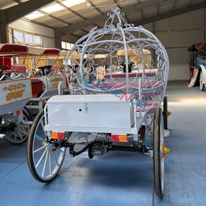 Nouvelle Conception 2026 : Carrosse Électrique Citrouille pour Événements Extérieurs, Mariages, Séances Photo, Parcs d'Attractions et Usage Touristique - Product Image 6