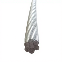 Cables Eléctricos de Aluminio Desnudo de Alta Calidad al por Mayor, Cables de Potencia Eléctrica, Trenzados Concéntricos, para Estaciones de Baja Potencia