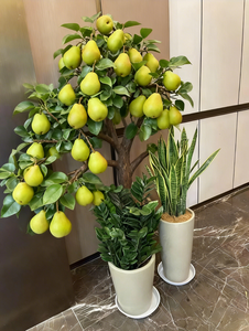 Árbol de Flores de Pera Artificial, Árbol de los Deseos con Flores Reales para Bodas, Hoteles, Centros Comerciales, Restaurantes, Decoración de Interiores y Exteriores - Product Image 4